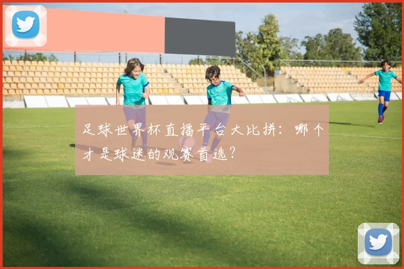 足球世界杯直播平台大比拼:哪个才是球迷的观赛首选?